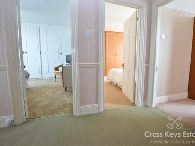 Picture 20